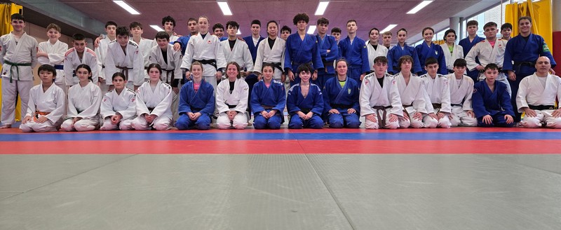 Stage Judo Navidad Pamplona, 2 y 3 de enero de 2025